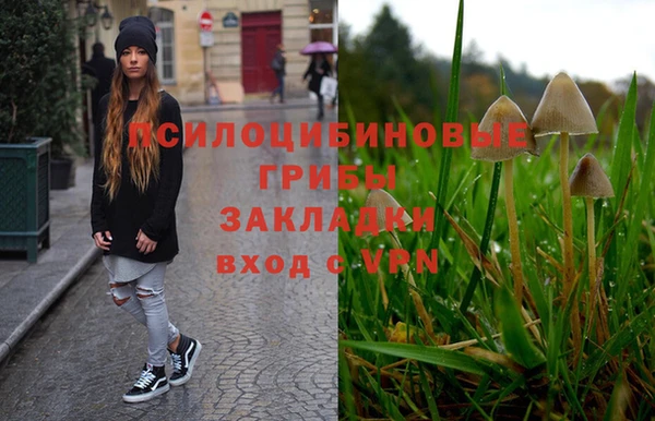альфа пвп Медногорск