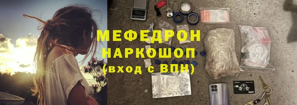 индика Медвежьегорск