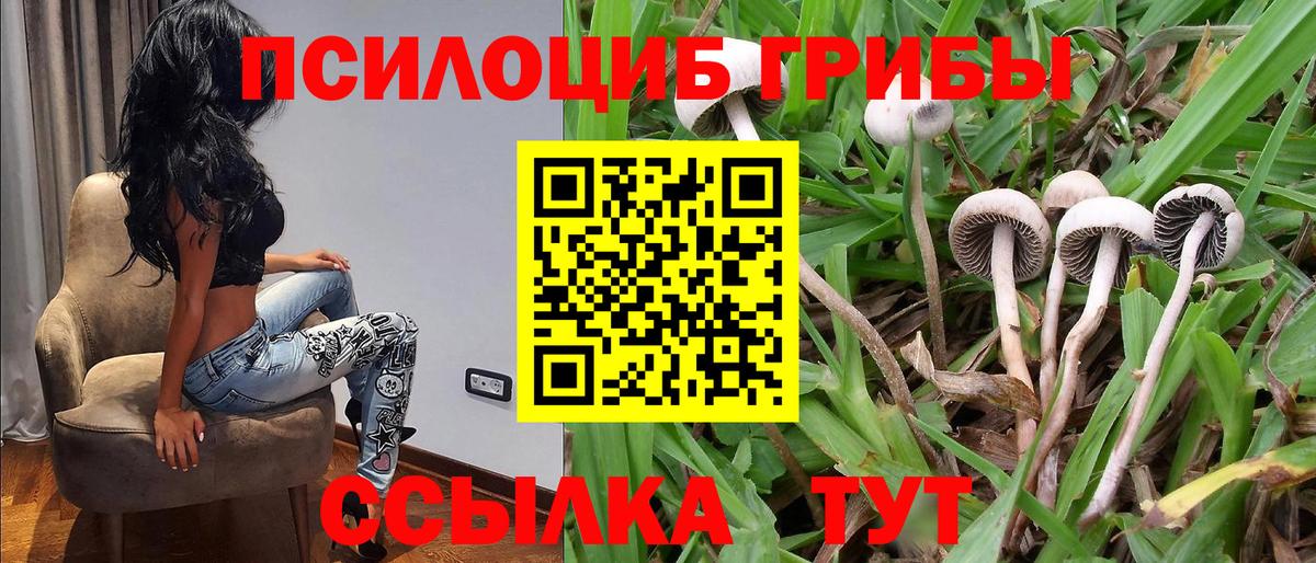 Галлюциногенные грибы Magic Shrooms Шали